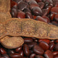 Entada rheedii Seeds, African Dream Herb beans, lucky Charm Seeds, Phytosanitary certificate Included